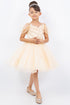 Girls 3D Flower Corset Body Flower Shoulder Strap Gown 4-16